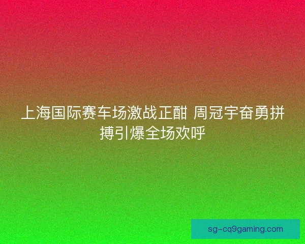 上海国际赛车场激战正酣 周冠宇奋勇拼搏引爆全场欢呼
